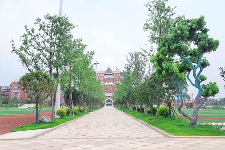 宜賓東辰國(guó)際學(xué)校