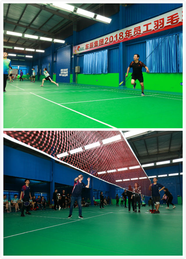 激情飛揚 誰羽爭鋒