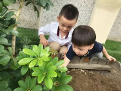 獲得國際學(xué)前教育界高度肯定的“安吉游戲”，東辰的幼兒園是怎么做的？