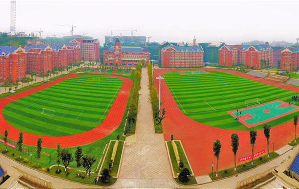 宜賓東辰國際學校