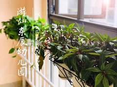 10月23日 | 游仙東辰幼兒園的寶貝日記